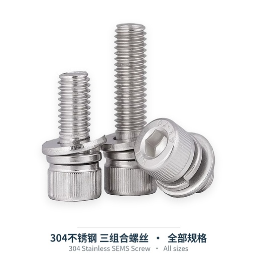 304 Stainless SEMS Screw (DIN912 + Flat & Spring Washer)