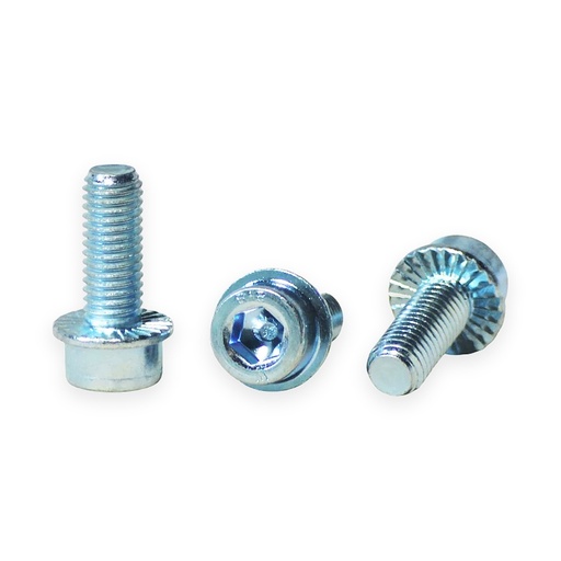 [BN-021] 8.8 Grade Flanged Socket Screw M10